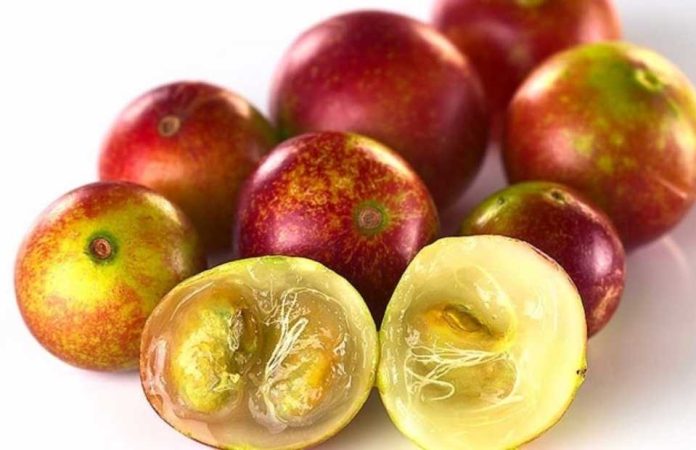 Colombia Superfrutos del bosque la nueva frontera funcional de Colombia Colombia | Superfrutos del bosque: la nueva frontera funcional de Colombia