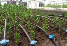 Comisión Nacional de Riego lanza nueva plataforma en línea para el Registro Público Nacional de Consultores de la Comisión Nacional de Riego Comisión Nacional de Riego lanza nueva plataforma en línea para el Registro Público Nacional de Consultores de la Comisión Nacional de Riego