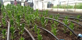 Comisión Nacional de Riego lanza nueva plataforma en línea para el Registro Público Nacional de Consultores de la Comisión Nacional de Riego Comisión Nacional de Riego lanza nueva plataforma en línea para el Registro Público Nacional de Consultores de la Comisión Nacional de Riego