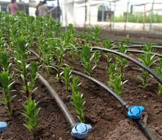 Comisión Nacional de Riego lanza nueva plataforma en línea para el Registro Público Nacional de Consultores de la Comisión Nacional de Riego Comisión Nacional de Riego lanza nueva plataforma en línea para el Registro Público Nacional de Consultores de la Comisión Nacional de Riego