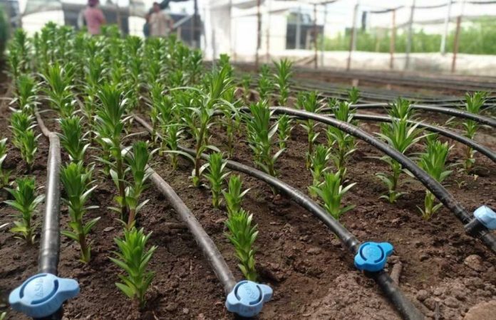 Comisión Nacional de Riego lanza nueva plataforma en línea para el Registro Público Nacional de Consultores de la Comisión Nacional de Riego