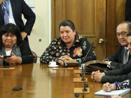 Conflicto en Medio Oriente aumenta presión al agro: Comisión de Agricultura advierte fuerte alza en precio de insumos y pide al Gobierno evaluar apoyo