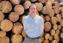 Día Internacional de los Bosques