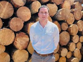 Día Internacional de los Bosques