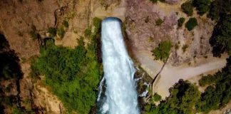 Día Mundial del Agua Día Mundial del Agua