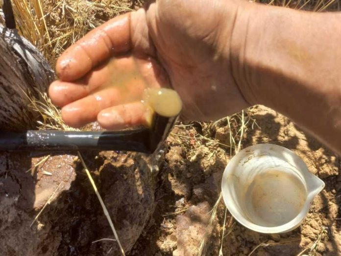 Día Mundial del Agua: Especialista de INIA Rayentuéentr ega recomendaciones para riego agrícola