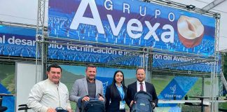 Día Nacional del Avellano Europeo, Grupo AVEXA