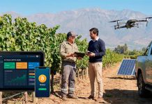 Digitalización financiera y agro chileno: qué lugar ocupan los criptoactivos en la economía productiva, casinos con pagos en bitcoin,