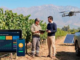 Digitalización financiera y agro chileno: qué lugar ocupan los criptoactivos en la economía productiva, casinos con pagos en bitcoin,