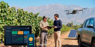 Digitalización financiera y agro chileno: qué lugar ocupan los criptoactivos en la economía productiva, casinos con pagos en bitcoin,