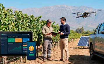 Digitalización financiera y agro chileno: qué lugar ocupan los criptoactivos en la economía productiva, casinos con pagos en bitcoin,