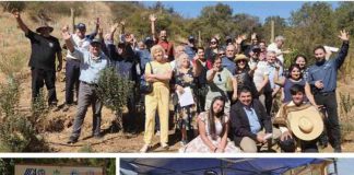 Director general del IICA visita experiencia de agricultura regenerativa en Cuncumén apoyada por FIA