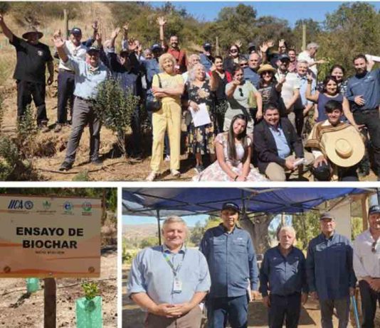 Director general del IICA visita experiencia de agricultura regenerativa en Cuncumén apoyada por FIA