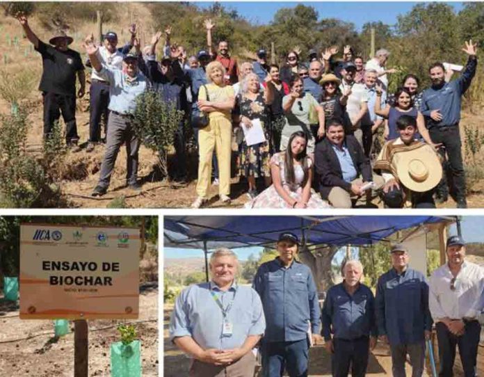 Director general del IICA visita experiencia de agricultura regenerativa en Cuncumén apoyada por FIA