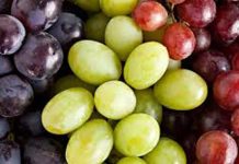 EE.UU.: Departamento de Justicia (DOJ) retira apelación del USDA por fallo que eliminó la implementación del Systems Approach para la uva de mesa chilena