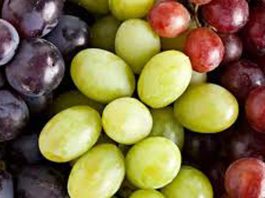 EE.UU.: Departamento de Justicia (DOJ) retira apelación del USDA por fallo que eliminó la implementación del Systems Approach para la uva de mesa chilena EE.UU.: Departamento de Justicia (DOJ) retira apelación del USDA por fallo que eliminó la implementación del Systems Approach para la uva de mesa chilena