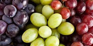 EE.UU.: Departamento de Justicia (DOJ) retira apelación del USDA por fallo que eliminó la implementación del Systems Approach para la uva de mesa chilena