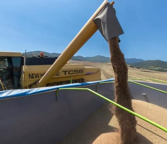 El inicio de la guerra contra Irán el 28 de febrero pasado deja una factura adicional de entre 2,4 y 5,8 millones de euros al día.