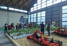 En Macfrut 2026, un doble campo de pruebas dedicado a la innovación en fruticultura y horticultura    