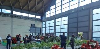 En Macfrut 2026, un doble campo de pruebas dedicado a la innovación en fruticultura y horticultura    