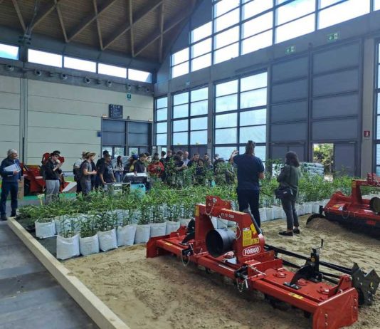 En Macfrut 2026, un doble campo de pruebas dedicado a la innovación en fruticultura y horticultura    