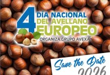 En el Maule se realizará por cuarta vez el “Día Nacional del Avellano Europeo”