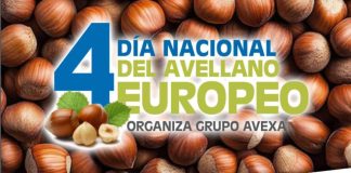 En el Maule se realizará por cuarta vez el “Día Nacional del Avellano Europeo”