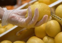 España Ailimpo «El limón español está dominando los mercados europeos con una cuota superior al 90% esta campaña