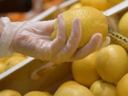 España Ailimpo «El limón español está dominando los mercados europeos con una cuota superior al 90% esta campaña