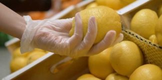 España Ailimpo «El limón español está dominando los mercados europeos con una cuota superior al 90% esta campaña