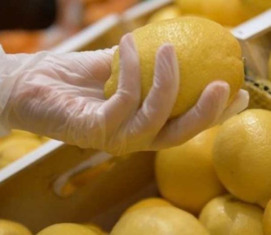 España Ailimpo «El limón español está dominando los mercados europeos con una cuota superior al 90% esta campaña