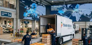 España La Unión Europea blinda las exportaciones españolas de frutas y hortalizas ante el desplome de los mercados extracomunitarios