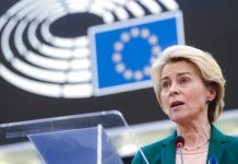 Europa | Bruselas anuncia la aplicación provisional del acuerdo comercial con Mercosur Europa Bruselas anuncia la aplicación provisional del acuerdo comercial con Mercosur