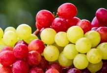 Exportaciones de uva caen 8,4% en nueva estimación de Frutas de Chile