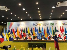 Ministra Fernández destaca rol de las mujeres en los sistemas agroalimentarios en lanzamiento del Año Internacional de la Mujer Agricultora