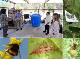 FIA transfiere tecnología de biocontroladores de plagas a biofábricas instaladas en establecimientos educacionales de Coquimbo