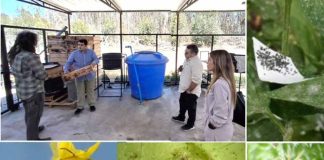FIA transfiere tecnología de biocontroladores de plagas a biofábricas instaladas en establecimientos educacionales de Coquimbo