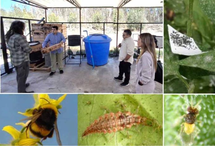 FIA transfiere tecnología de biocontroladores de plagas a biofábricas instaladas en establecimientos educacionales de Coquimbo