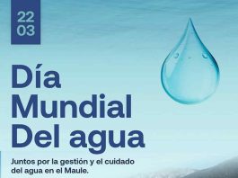 Federación de Juntas de Vigilancia del Maule manifiesta su preocupación en el Día Mundial del Agua
