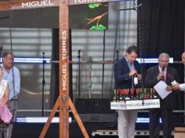 Fiesta de la vendimia de Curicó 2026