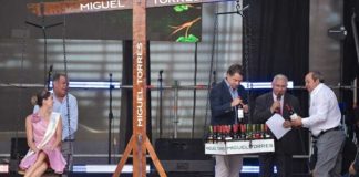 Fiesta de la vendimia de Curicó 2026