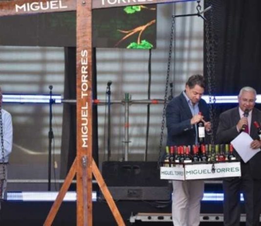 Fiesta de la vendimia de Curicó 2026 Fiesta de la vendimia de Curicó 2026