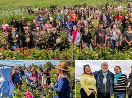 Floricultura regenerativa abre nuevas oportunidades para mujeres rurales en Los Lagos Floricultura regenerativa abre nuevas oportunidades para mujeres rurales en Los Lagos