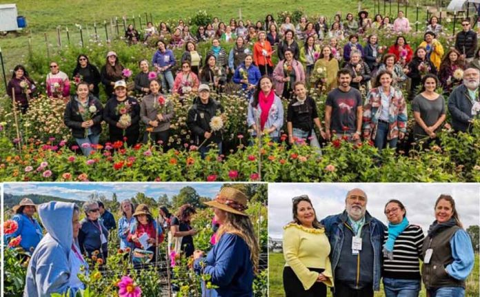 Floricultura regenerativa abre nuevas oportunidades para mujeres rurales en Los Lagos