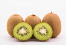 Gonzalo Gajardo de Subsole: «De aquí al 2030 no va a haber espacio para kiwis de mala calidad»