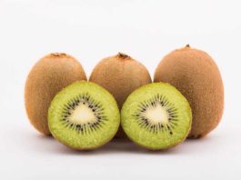 Gonzalo Gajardo de Subsole: «De aquí al 2030 no va a haber espacio para kiwis de mala calidad»