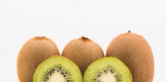 Gonzalo Gajardo de Subsole: «De aquí al 2030 no va a haber espacio para kiwis de mala calidad»