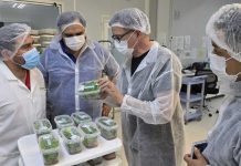 Grupo Hijuelas anuncia su expansión a Francia con un proyecto de I+D con compañías científicas europeas