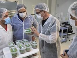 Grupo Hijuelas anuncia su expansión a Francia con un proyecto de I+D con compañías científicas europeas Grupo Hijuelas anuncia su expansión a Francia con un proyecto de I+D con compañías científicas europeas