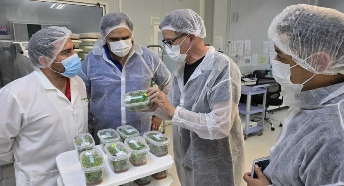 Grupo Hijuelas anuncia su expansión a Francia con un proyecto de I+D con compañías científicas europeas